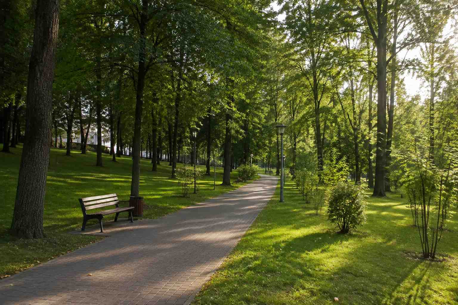https://vladivostok.blago-s.ru/storage/app/uploads/public/6a7/eef/ed2/6a7eefed2af22038960370.jpg